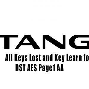 Tango+ OBD - All Keys Lost and Key Learn of a Tango reset OEM DST AES Page1 AA smart key with SLK-07